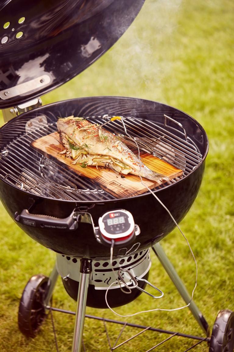 Faszenes Weber grill Master Touch SE E-5755
